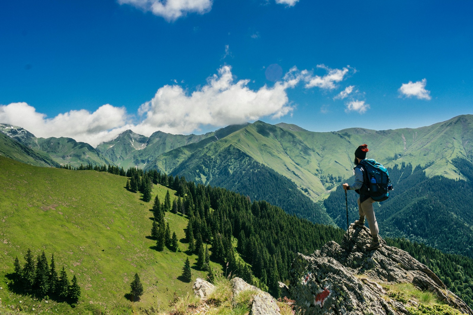 Kashmir